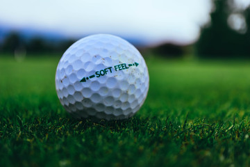 Golf ball on a field green grass, macro view.