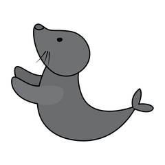 cute seal icon over white background, colorful design.  vector illustration