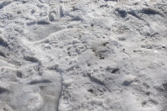 Snow covered ground with different steps and traces. .