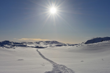 Sun star over the winter snow tundra with ski track. Kola peninsula, Russia. - 200437969