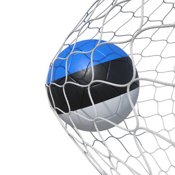 Estonia Estonian flag soccer ball inside the net, in a net.