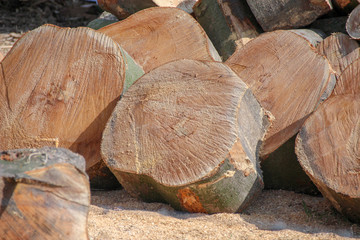 wooden discs in the sun