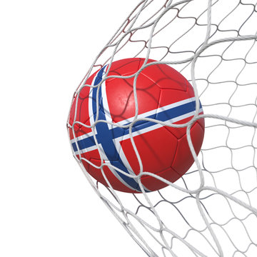 Norway Norwegian flag soccer ball inside the net, in a net.