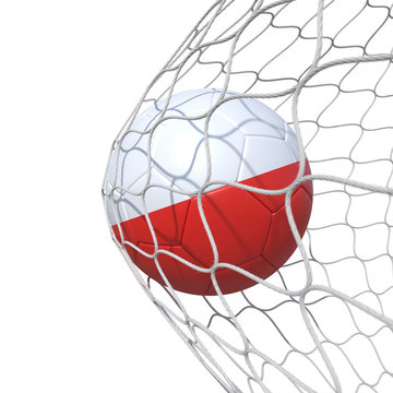 Polish Poland flag soccer ball inside the net, in a net.