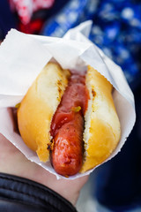 Fresh hot dog in hand on a blue background