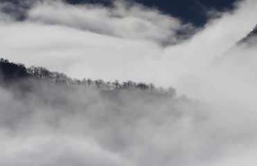 Fototapeta na wymiar Paysage de montagne dans la brume 