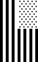 Monochrome American Flag