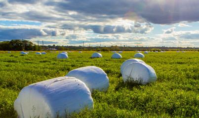 Hay bale in Russian countryside field with beautiful sky