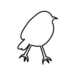 robin outline on white background