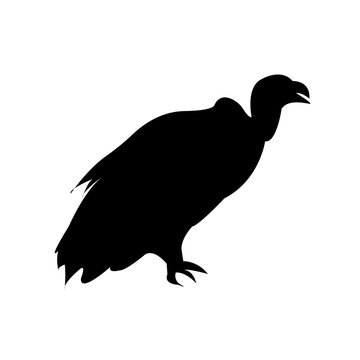 vulture silhouette on white background, in black