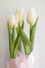 Bouquet white tulips on white table, vignette