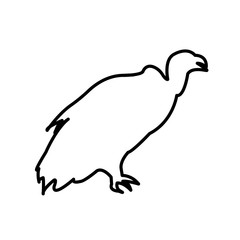 vulture outline on white background