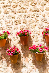 Fototapeta na wymiar Typical exterior stone wall decorated with hanging ceramic flower pots in Valdemossa medieval village, Mallorca, Balearic Islands, Spain