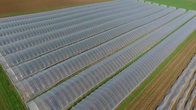Aerial video of greenhouses for strawberrys