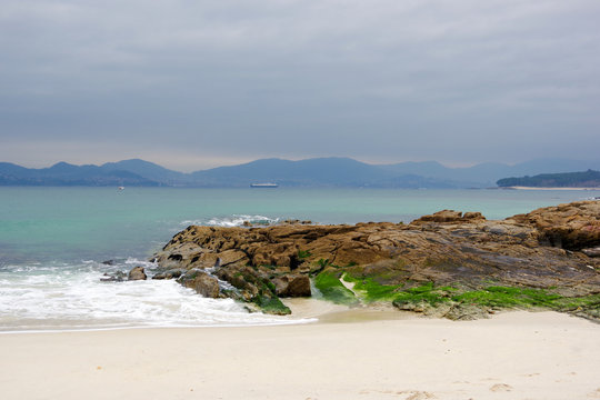 Colorful flora on rocks on Vao beach, Vigo, Galicia, Spain