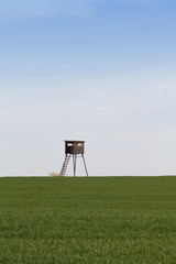 Sitting hide-and-seek for hunters in field for game hunting in nature.