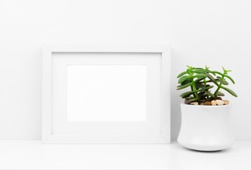 Mock up white frame and succulent plant in pot on a shelf or desk. White color scheme. Landscape frame orientation.