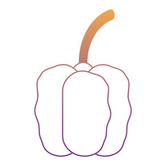 red pepper icon over white background, colorful design. vector illustration