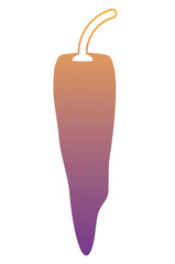 chili pepper icon over white background, colorful design. vector illustration