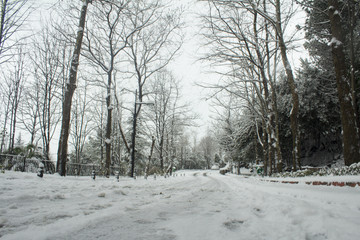 Snowy road bottom angle