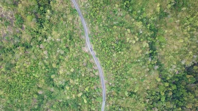Top view. Aerial view from drone. Royalty high quality free stock image of road in forest. Road in forest is beautiful with many tree, road on pass very winding and curve