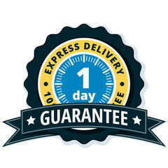 One Day Express Delivery illustration