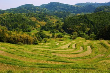 千葉県・大山千枚田