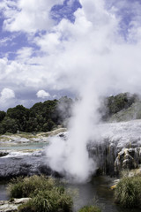 Te puia new zealand day trip north island geothermal geyser