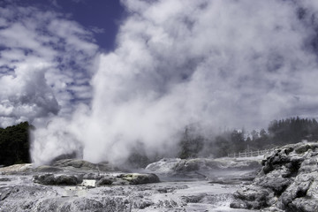 Te puia new zealand day trip north island geothermal geyser