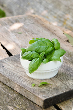 basil fresh in white bowl on the old wood desk
