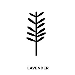 lavender icon on white background, in black, vectoricon illustration