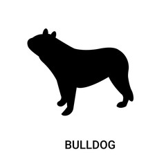 bulldog icon on white background, in black, vector icon illustration