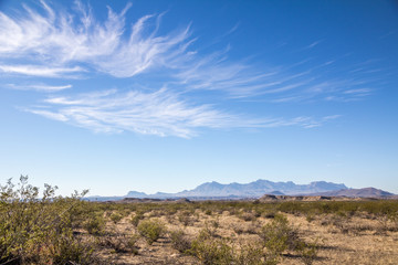 Southern Texas landscape near Big Bend National Park, Texas.