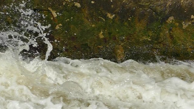 Flood of water floods. Burly and flowing muddy water. Spring flood.