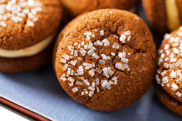 Cinnamon Ginger Cookies Isolated on White Background. Selective focus.