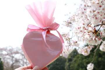 桜色のハート