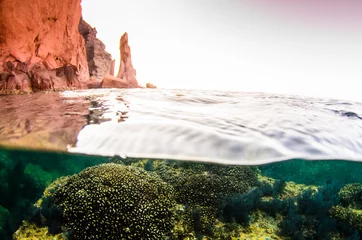 Coral reef scenics of the Sea of Cortez, Baja California Sur, Mexico.  © leonardogonzalez