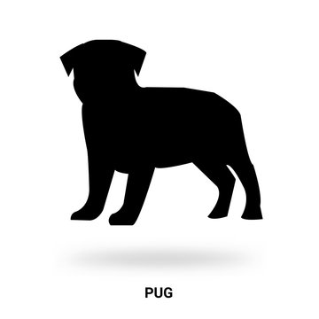 pug silhouette isolated on white background