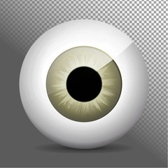 Eye, gray. Realistic 3d grayeyeball vector illustration. Real human iris,pupil and eye sphere. Icon on transparent background. Isolated macro color eyeball. Character eyes design. Anatomy close up.