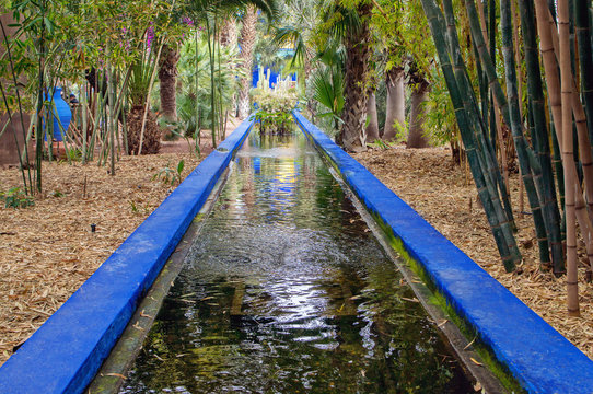Blue water canal and various trees and plant in a botanical garden