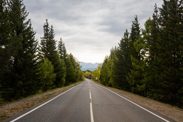 Fototapeta premium Forest road on a cloudy day. National Park, Siberia
