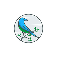 bird logo template vector illustration