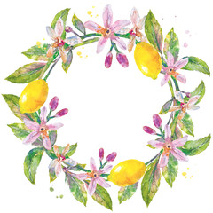  Lemon wreath in watercolor style. Cute handwritten Illustration with lemon, branch with flowers, leaves, and watercolor splash for art and design background, banner, poster