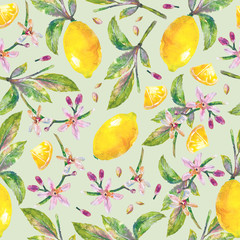 Lemons  with green leaves, lemon slices, lemon seeds and flowers. Seamless pattern branch lemon tree on color background. Illustration hand drawn watercolor.