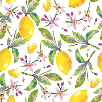 Lemons  with green leaves, lemon slices and flowers. Seamless pattern branch lemon tree on white background. Illustration hand drawn watercolor.

