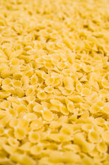 Background of pasta