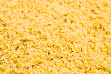 Background of pasta