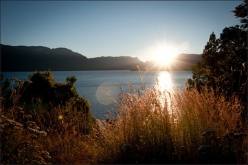 Horizontal photo of a sunset in a patagonia lake in Argentina with plants in the foreground and mountains in the background