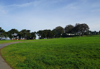 Green park with trees in San Fransisco.