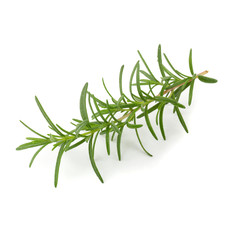 Fresh raw Rosemary isolated on a white background © kaiskynet